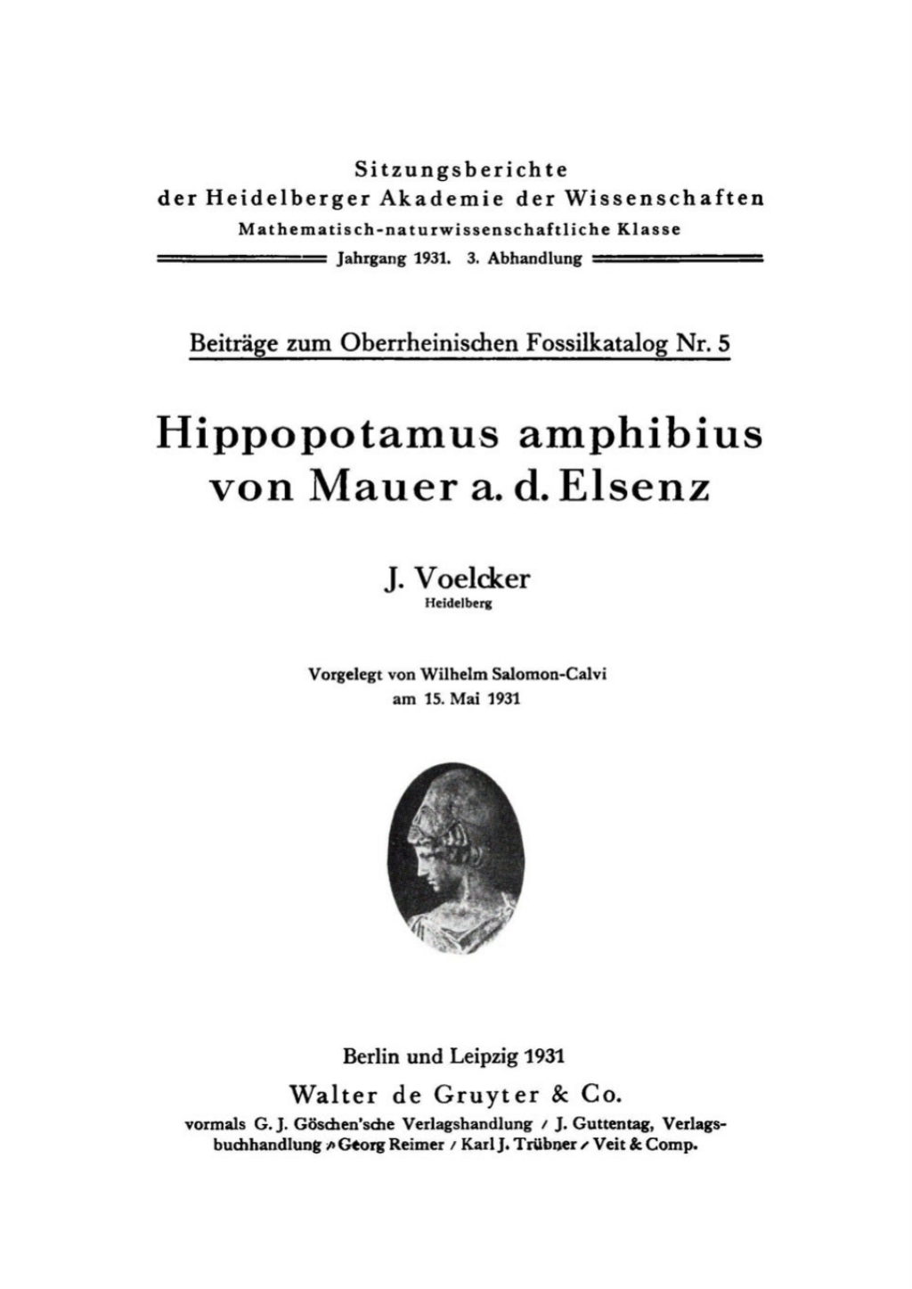 Hippopotamus amphibius von Mauer a.d. Elsenz 1st Edition