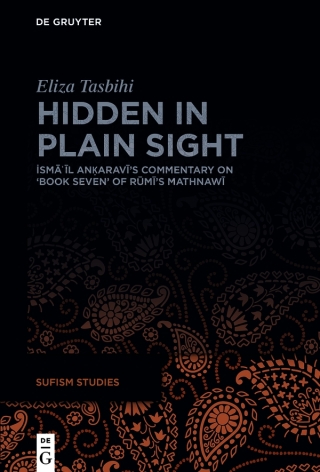 Imagen de portada: Hidden in Plain Sight 1st edition 9783111555720