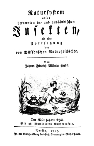 Imagen de portada: Der Käfer, Teil 6 1st edition 9783112453070