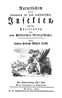 صورة الغلاف: Schmetterlinge, Teil 11 1st edition 9783112674093