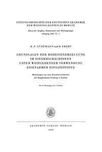 Cover image: Grundlagen der Roheisenerzeugung im Niederschachtofen unter weitgehender Verwendung eisenarmer Einsatzstoffe 1st edition 9783112701409