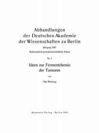 Imagen de portada: Ideen zur Fermentchemie der Tumoren 1st edition 9783112759288
