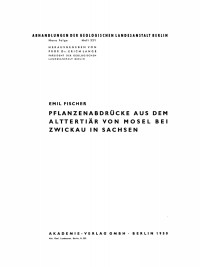 Cover image: Pflanzenabdrücke aus dem Alttertiär von Mosel bei Zwickau in Sachsen 1st edition 9783112764848