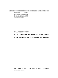 Cover image: Die Unterkarbon-Flora der Dobrilugker Tiefbohrungen 1st edition 9783112764923