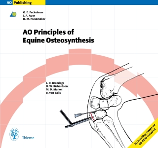 Cover image: Principles of Equine Osteosynthesis 1st edition 9783131646910