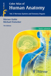 صورة الغلاف: Color Atlas of Human Anatomy, Vol. 3: Nervous System and Sensory Organs 7th edition 9783135335070