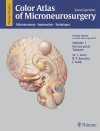Imagen de portada: Color Atlas of Microneurosurgery: Volume 1 - Intracranial Tumors 2nd edition 9783136660027