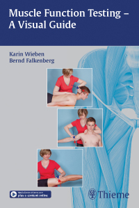 Cover image: Muscle Function Testing - A Visual Guide 1st edition 9783131997210