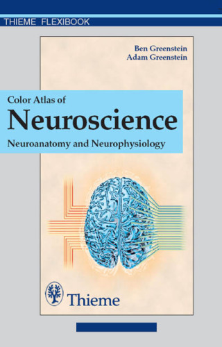 Cover image: Color Atlas of Neuroscience 1st edition 9783131081711