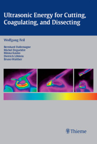 صورة الغلاف: Ultrasonic Energy for Cutting, Coagulating, and Dissecting 1st edition 9783131275219