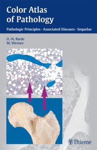 Titelbild: Color Atlas of Pathology 1st edition 9783131277817