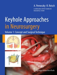 Imagen de portada: Keyhole Approaches in Neurosurgery 9783211838853