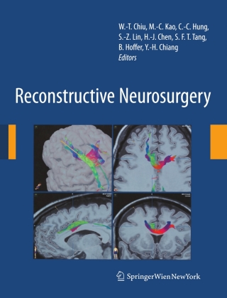 Cover image: Reconstructive Neurosurgery 1st edition 9783211782040