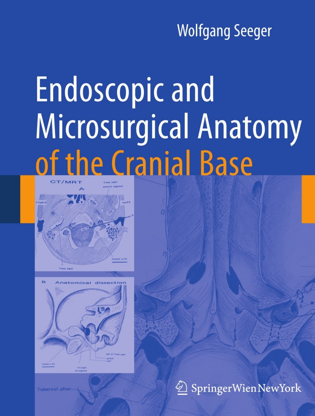 Endoscopic and microsurgical anatomy of the cranial base