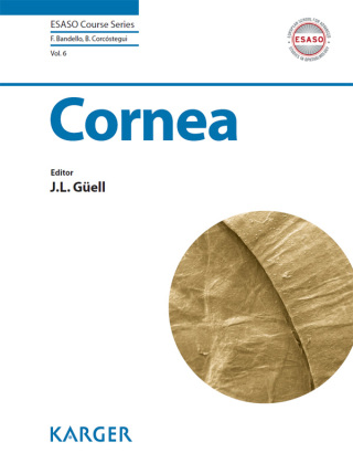 Immagine di copertina: Cornea 1st edition 9783318054521
