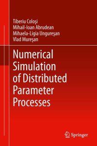 Imagen de portada: Numerical Simulation of Distributed Parameter Processes 9783319000138