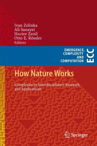 Imagen de portada: How Nature Works 9783319002538