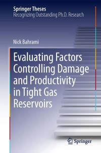 صورة الغلاف: Evaluating Factors Controlling Damage and Productivity in Tight Gas Reservoirs 9783319024806