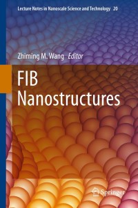 Titelbild: FIB Nanostructures 9783319028736
