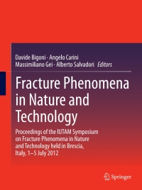 Cover image: Fracture Phenomena in Nature and Technology 9783319043968