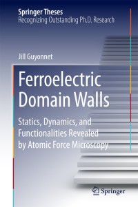 Titelbild: Ferroelectric Domain Walls 9783319057491