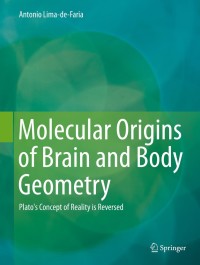 Cover image: Molecular Origins of Brain and Body Geometry 9783319060552