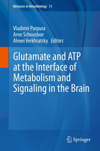 Imagen de portada: Glutamate and ATP at the Interface of Metabolism and Signaling in the Brain 9783319088938