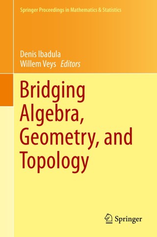 Immagine di copertina: Bridging Algebra, Geometry, and Topology 9783319091853