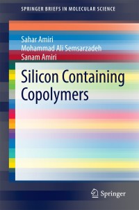 Imagen de portada: Silicon Containing Copolymers 9783319092249