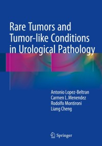Cover image: Rare Tumors and Tumor-like Conditions in Urological Pathology 9783319102528