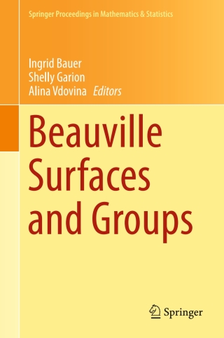 表紙画像: Beauville Surfaces and Groups 9783319138619