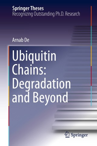 Imagen de portada: Ubiquitin Chains: Degradation and Beyond 9783319149646