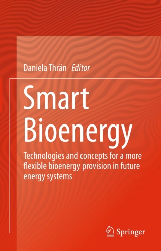 Cover image: Smart Bioenergy 9783319161921
