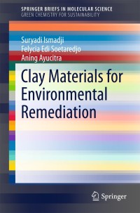 Imagen de portada: Clay Materials for Environmental Remediation 9783319167114