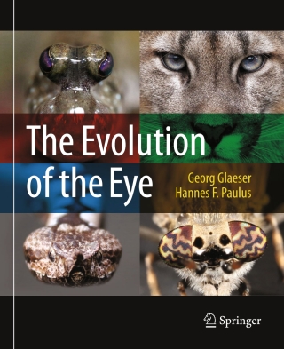 Cover image: The Evolution of the Eye 9783319174754