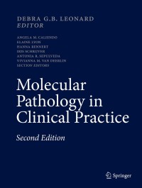 Omslagafbeelding: Molecular Pathology in Clinical Practice 2nd edition 9783319196732