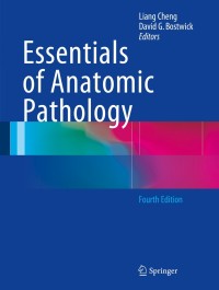 Cover image: Essentials of Anatomic Pathology 4th edition 9783319233796