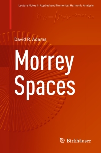 Cover image: Morrey Spaces 9783319266794