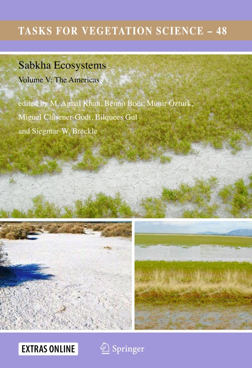 Sabkha Ecosystems Volume V: The Americas