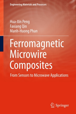 Imagen de portada: Ferromagnetic Microwire Composites 9783319292748