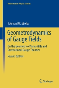 Imagen de portada: Geometrodynamics of Gauge Fields 2nd edition 9783319297323