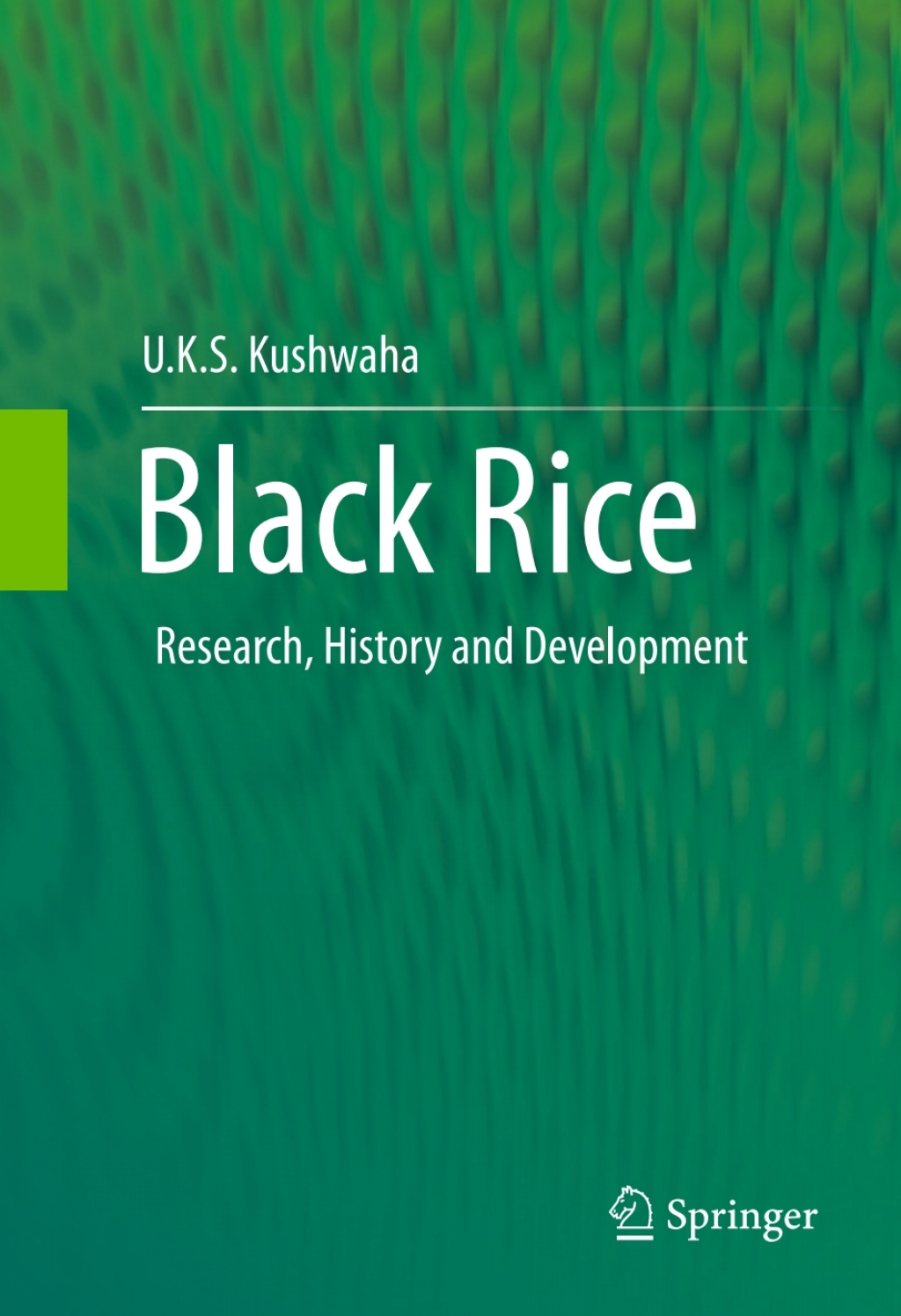 Black Rice Research, History and Development
