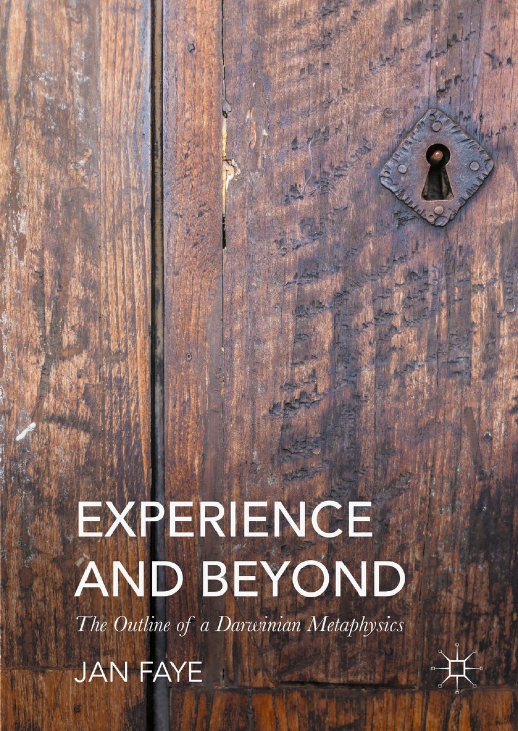 Experience and Beyond The Outline of A Darwinian Metaphysics