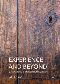 Cover image: Experience and Beyond 9783319310763