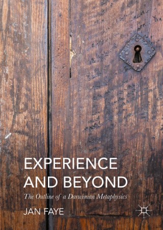 Omslagafbeelding: Experience and Beyond 9783319310763