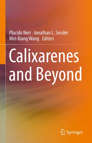 Imagen de portada: Calixarenes and Beyond 9783319318653