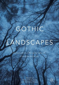 表紙画像: Gothic Landscapes 1st edition 9783319331645