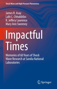 Imagen de portada: Impactful Times 9783319333458