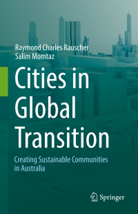 Cover image: Cities in Global Transition 9783319398648