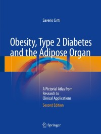 Cover image: Obesity, Type 2 Diabetes and the Adipose Organ 2nd edition 9783319405209